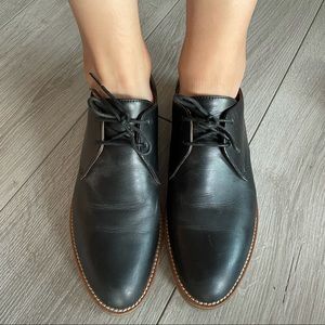 everlane oxfords